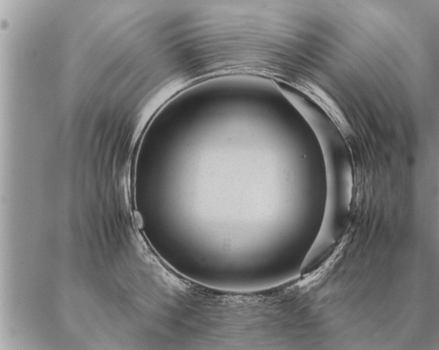 X0000087390812200704271621