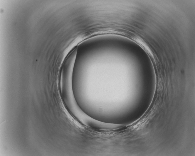 X0000087390813200704271620