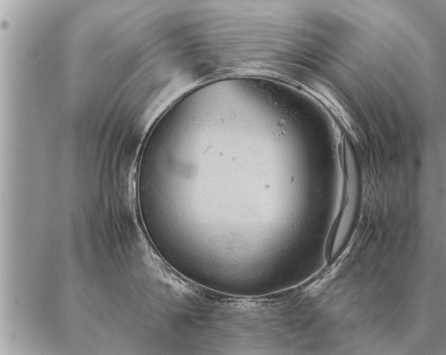 X0000087390814200704271620