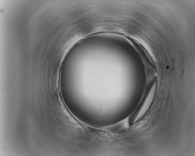 X0000087390815200704271620