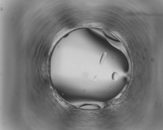 X0000087390816200704271620