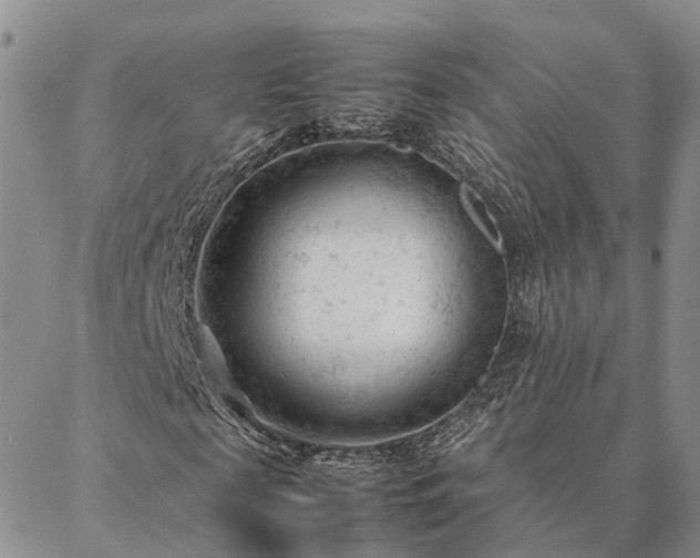 X0000087390817200704271620