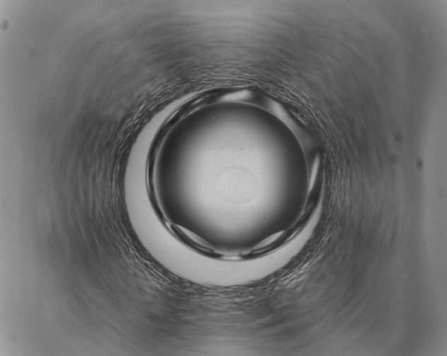 X0000087390818200704271620