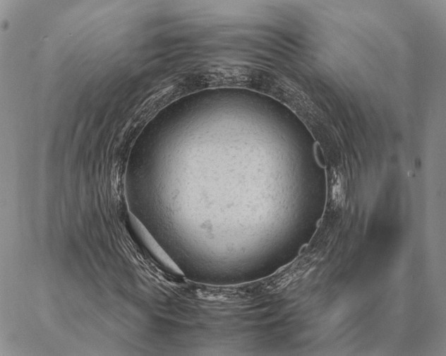 X0000087390819200704271620