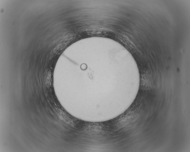 X0000087390820200704271620