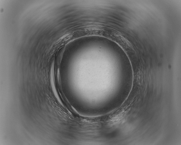 X0000087390821200704271620