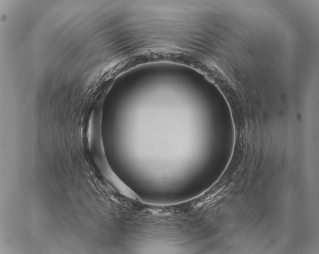 X0000087390822200704271620