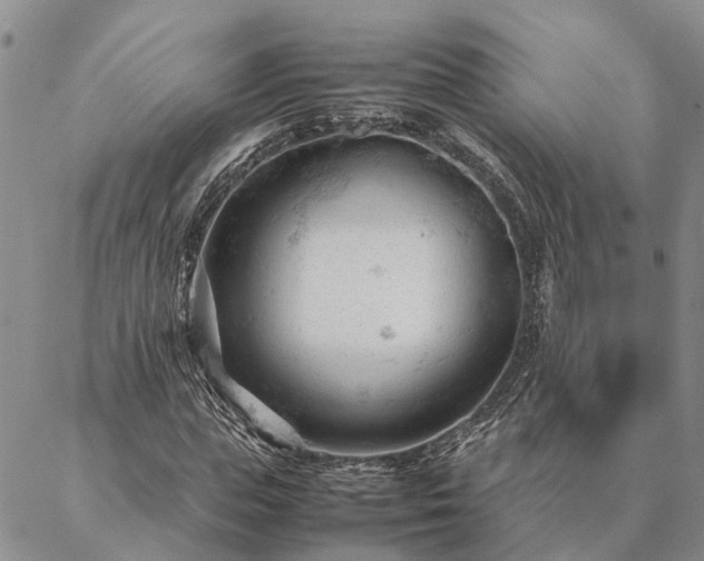 X0000087390823200704271620