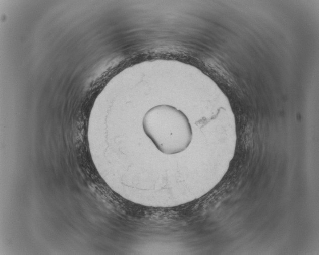 X0000087390824200704271620