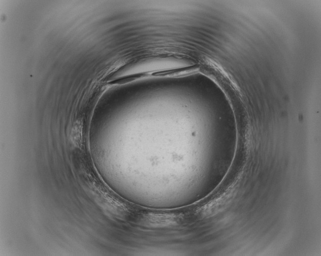 X0000087390825200704271620