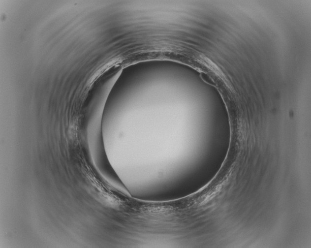 X0000087390826200704271620