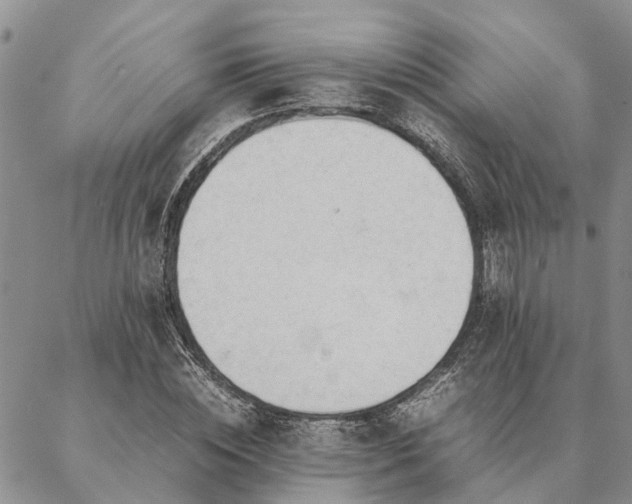 X0000087390828200704271620