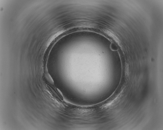 X0000087390829200704271620