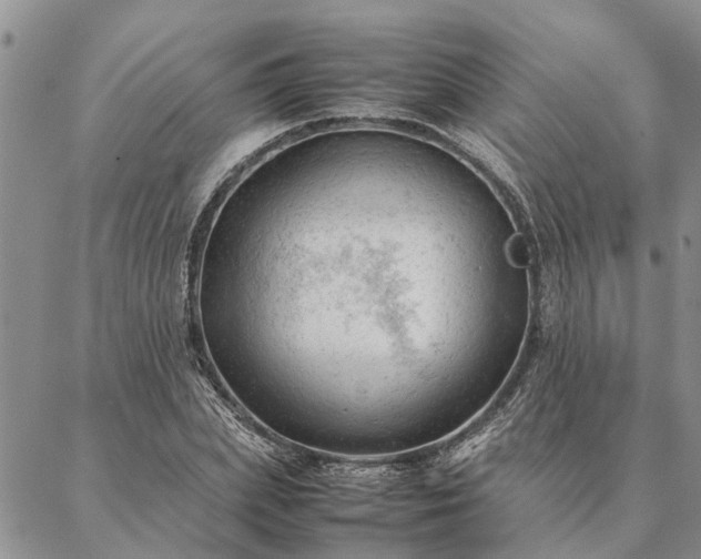 X0000087390831200704271620