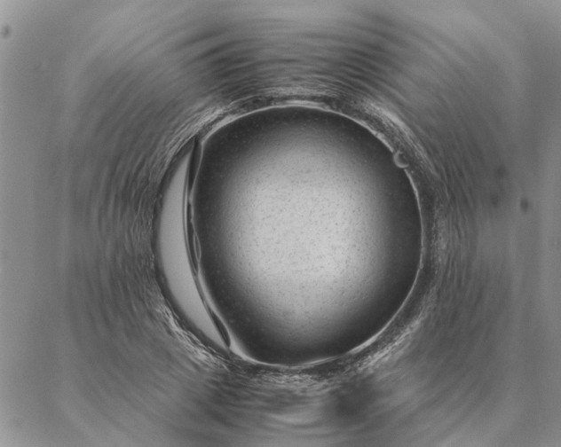 X0000087390833200704271620