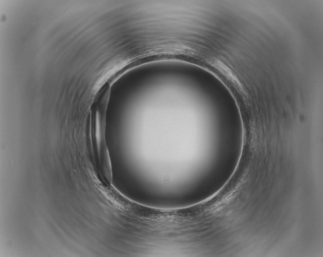 X0000087390834200704271620