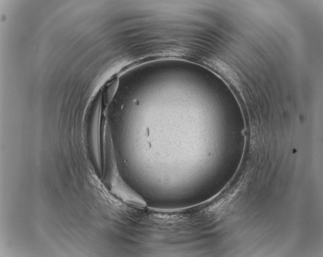 X0000087390835200704271620