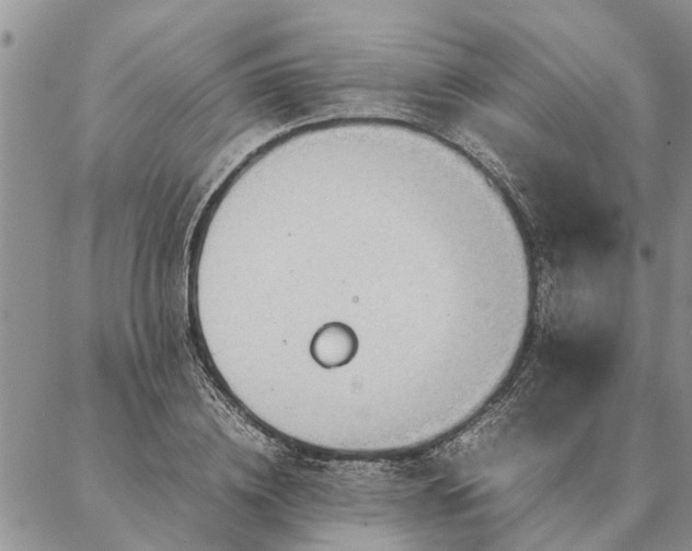 X0000087390836200704271620