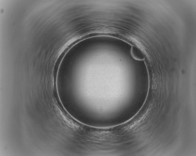 X0000087390837200704271620