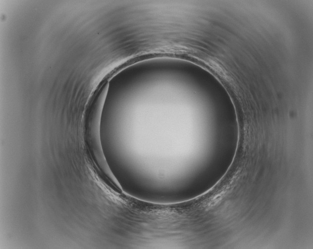 X0000087390838200704271620