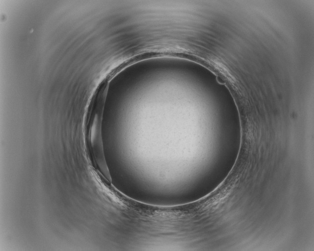 X0000087390840200704271620