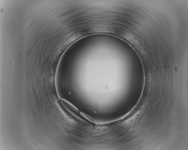 X0000087390841200704271620