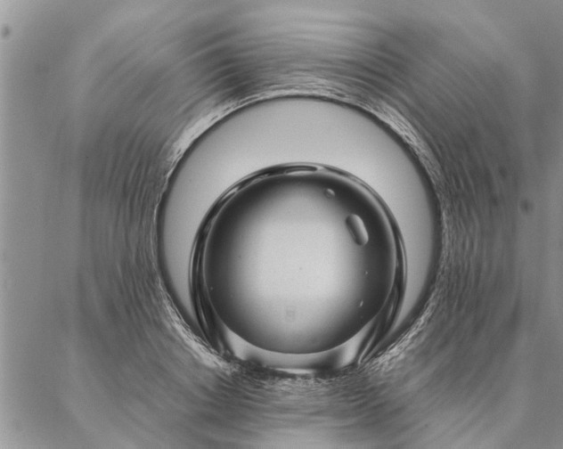 X0000087390842200704271620