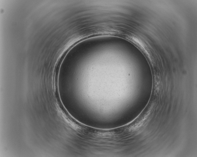 X0000087390843200704271620