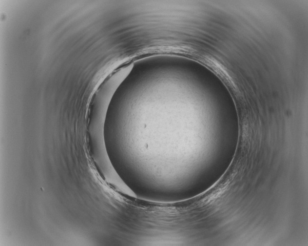 X0000087390844200704271620