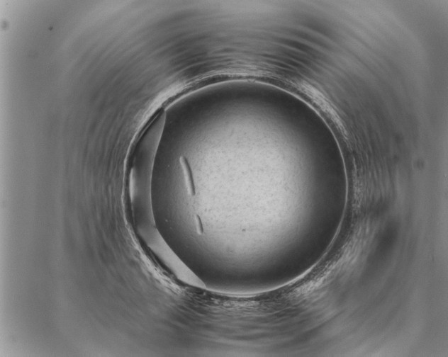 X0000087390845200704271620