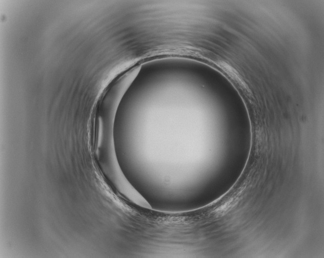 X0000087390846200704271620