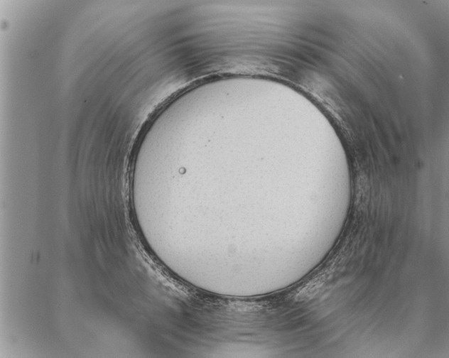 X0000087390848200704271620