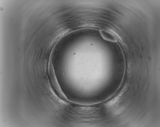 X0000087390849200704271620