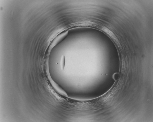 X0000087390850200704271620