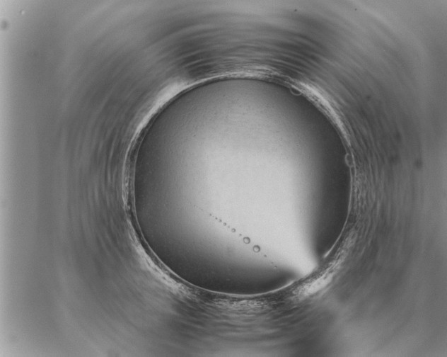 X0000087390851200704271620