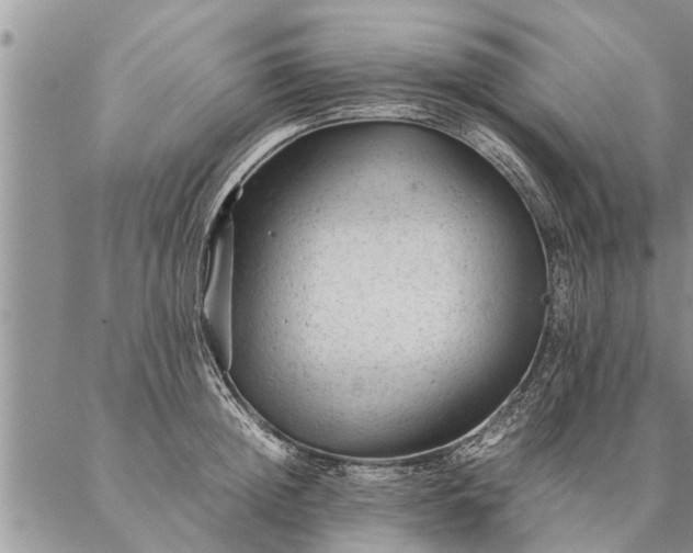 X0000087390852200704271620