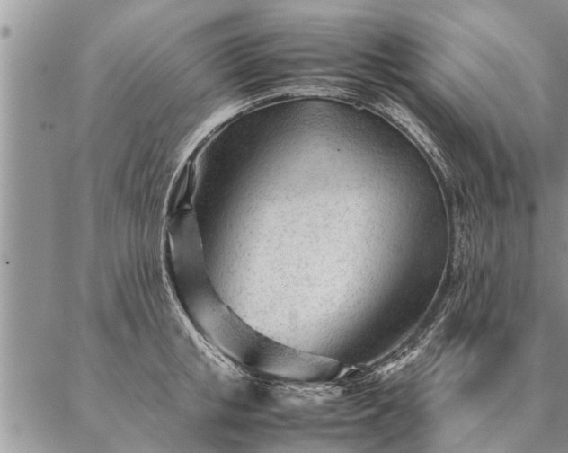 X0000087390853200704271620