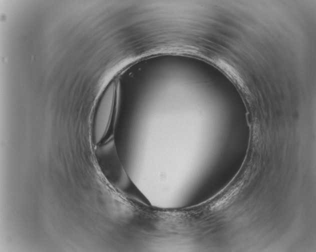 X0000087390854200704271620