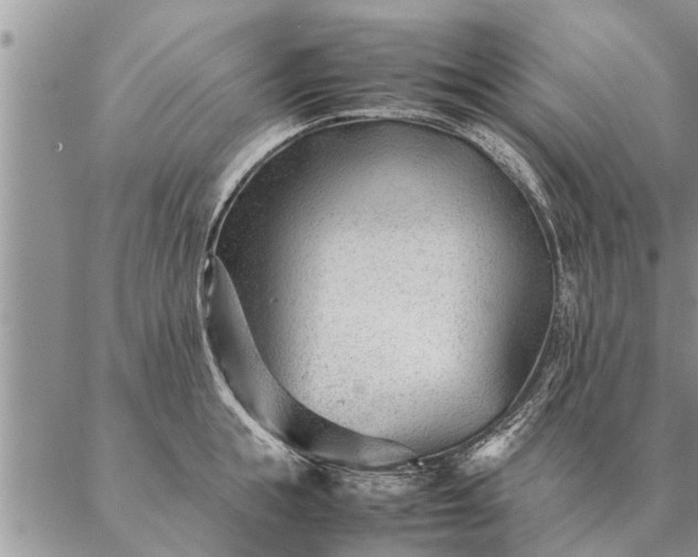 X0000087390855200704271620