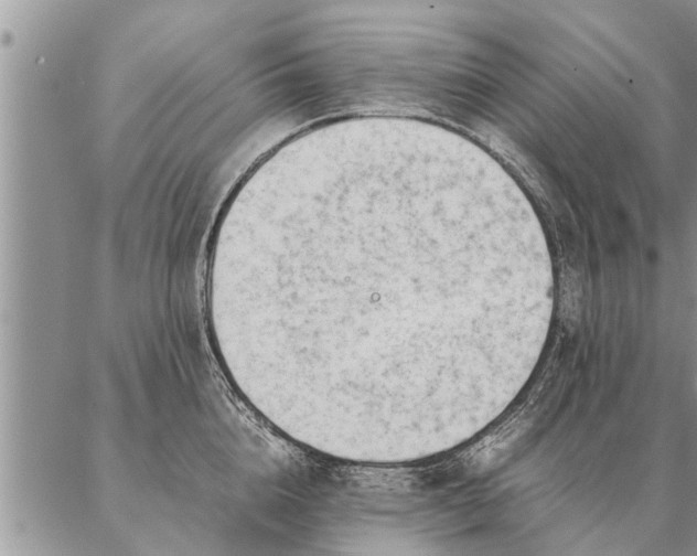 X0000087390856200704271620