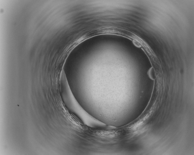 X0000087390857200704271620