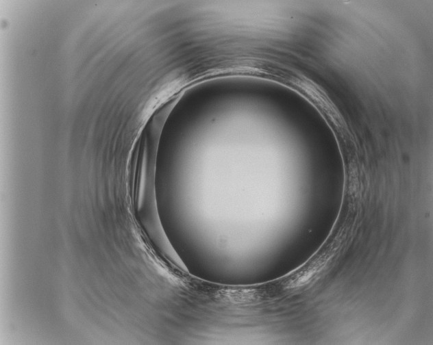 X0000087390858200704271620