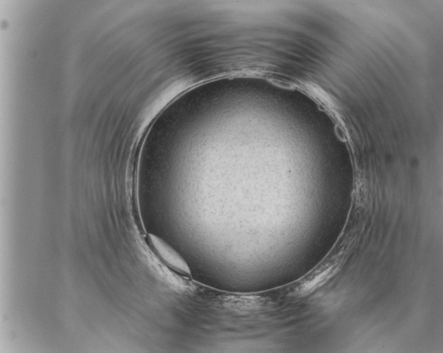 X0000087390859200704271620