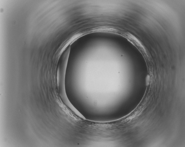 X0000087390860200704271620