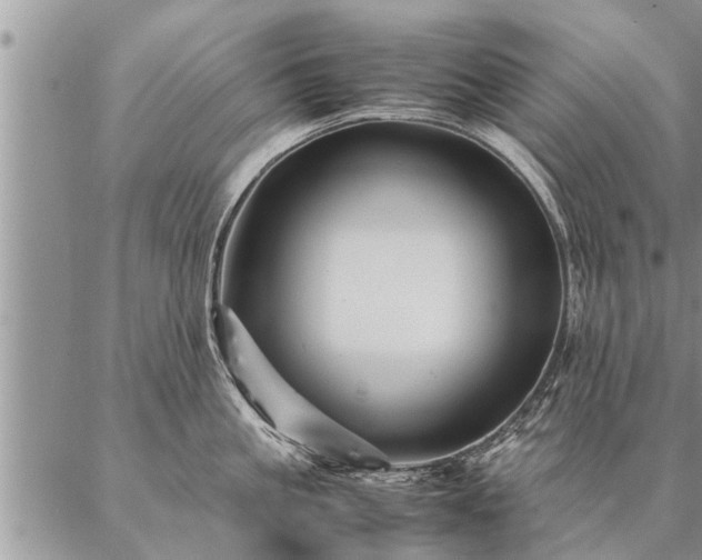 X0000087390861200704271620