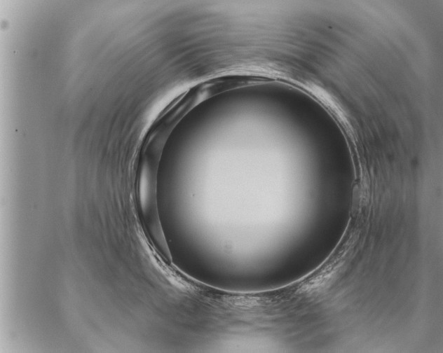 X0000087390862200704271620