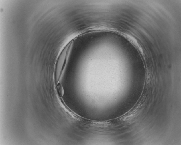 X0000087390863200704271620