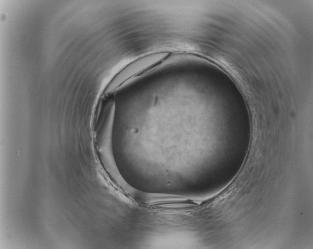 X0000087390864200704271620