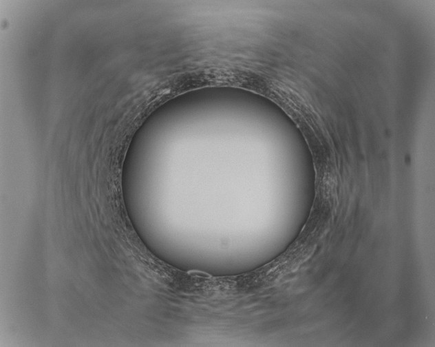 X0000087390865200704271620