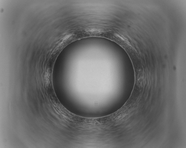 X0000087390866200704271620